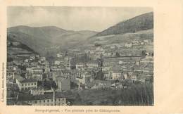 BOURG ARGENTAL - Vue Prise Du Châtaigneraie - Bourg Argental