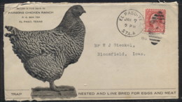 USA 1916 2c Washington Advertising Cover, Chicken, Bird - Autres & Non Classés