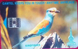 Kingfisher 125 Units - Gambia