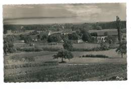 CPSM 89 NEUVY SAUTOUR PANORAMA VERS LA GARE - Neuvy Sautour