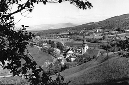 ¤¤  -  SLOVENIE   -  MISLINJA    -   ¤¤ - Slowenien