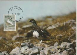Groenland Carte Maximum Oiseaux 1987 Lagopèdes 164 - Maximum Cards