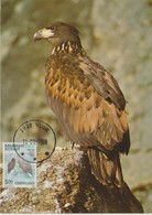 Groenland Carte Maximum Oiseaux 1988 Pygargue 171 - Cartas Máxima
