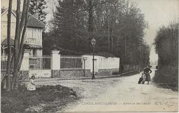 LIMEIL- BREVANNES -  CARTE ANIMEE - AVENUE DE CENAC -1912 - Limeil Brevannes