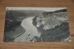 6607- FREYR, VUE PRISE DU POINT DE VUE VERS ANSEREMME - Hastière