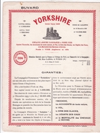 Buvard Yorkshire Compagnie D'assurances 1924 Dimenssion 20,7 Cm X 27 Cm - A