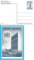 Onu, United Nations, Nations Unies,new York, Entier Postal 1992, Carte Postale Neuve, Reproduction Timbre De 1991 - Covers & Documents