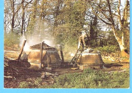 Delcampe - Les Vieux Métiers Et Traditions -Petits Métiers De Chez Nous-Le Charbonnier En Forêt-Charbon De Bois-Belle Carte  Toilée - Bauern