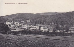 AK Bienenmühle - Erzgebirge - Gesamtansicht (38125) - Freiberg (Sachsen)