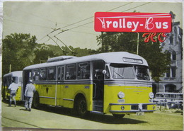 Trolley-Bus H0 Katalog 1955 Schwedisch Englisch - Englisch