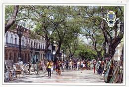 Lote PEP1117, Cuba, Entero Postal Stationery, La Habana 495 Años, 17-20, Calle 5ta Avenida, 5th Avenue Street - Tarjetas – Máxima