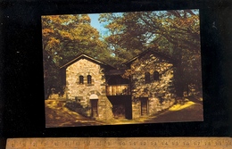 SAALBURG IM TAUNUS : Römerkastell  Nordtor - Saalburg