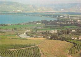 D1458 Tiberias Sea Of Galilee - Israel