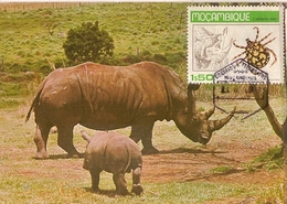 Mozambique & Maxi Card, Fauna, Rinoceronte,  Rhinocerontidae 1980 (3555) - Rhinocéros