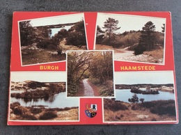 Nederland. Pays-Bas. Holland. Burgh-Haamstede. Natuur - Renesse