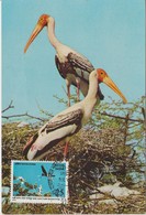 Inde Carte Maximum 1976 Oiseaux 471 - Lettres & Documents