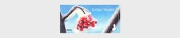 Finland - Postfris / MNH - Sneeuwbessen 2018 - Unused Stamps