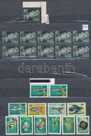 ** 1942 Kormányzó Helyettesi Gyászbélyeg 9 Csillaggal 10-es Tömb + ívsarki Bélyeg + 1962 Akváriumi Díszhalak (I.) Sor +  - Sonstige & Ohne Zuordnung
