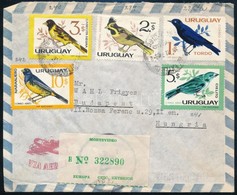 Uruguay ~1962 - Other & Unclassified