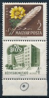 ** 1960 Bélyegbemutató Lemezhibás ívszéli Bélyeg - Other & Unclassified