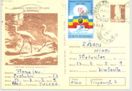 BIRDS, EURASIAN SPOONBILL, KESTREL, PC STATIONERY, ENTIER POSTAL, 1984, ROMANIA - Pélicans