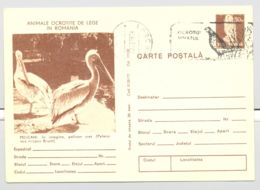 BIRDS, PELICANS, KESTREL, PHEASANT SPECIAL POSTMARK, PC STATIONERY, ENTIER POSTAL, 1978, ROMANIA - Pélicans