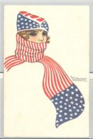 CPA SIGNED ILLUSTRATIONS, GIOVANNI NANNI- WOMAN WITH AMERICAN FLAG SCARF AND HAT, CENSORED WW1 - Nanni