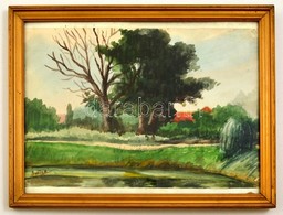 Baditz Jelzéssel: Park Részlet. Akvarell, Papír, üvegezett Keretben, 21×31 Cm - Other & Unclassified
