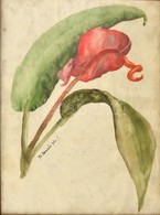 Benczúr Jelzéssel: Virágszál. Akvarell, Papír, Foltos, üvegezett Keretben, 25×19 Cm - Altri & Non Classificati