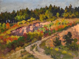 Jelzés Nélkül: Nyári Színek A Mezőn. Olaj, Karton, Keretben, 29×38 Cm. - Other & Unclassified