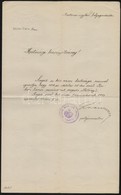 1914 Szeged, Szeged Sz. Kir. Város Tanácsának Hatósági Bizonyítványa Szegedi Illetőség Bizonyításának Tárgyában, A Város - Unclassified