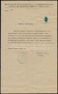 1940 Kubala László Focista édesanyjának, Stec Annának áttérési Bizonyítványa, Okmánybélyeggel - Ohne Zuordnung