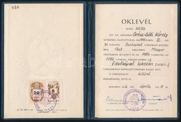 1956-1963 Úszóedzői Illetve Vízilabda-oktatói Oklevél - Unclassified