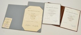 1967-1980 Munka érdemrend és Tanácsi Munkáért Kitüntetés Adományozó Okmányok, 3 Db, Dísztokban - Ohne Zuordnung