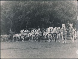 Cca 1930 Fogathajtók Kaksa Rajmund Tatai Fényképész Fotója. Hagyatékából.24x18 Cm - Other & Unclassified