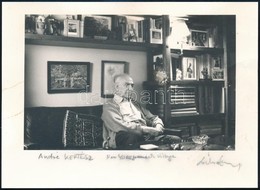 Azonosítatlan Jelzéssel: André Kertész. New York, Greenwich VIllage. 17x13 Cm - Other & Unclassified