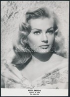 Anita Ekberg (1931-2015) Svéd Színésznő, Fotó, 13×9 Cm - Sonstige & Ohne Zuordnung