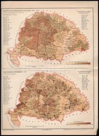 Magyarország Népességének Műveltségi Foka / Népsűrűsége 1890, 2 Db Térkép Egy Lapon, Pallas Nagy Lexikona Melléklete, Po - Sonstige & Ohne Zuordnung