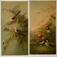 Cca 1900: Collection E Vouga. Két Nagyméretű Litografált Madár Kép / Birds 2 Large Litho Image  23x46 Cm - Unclassified