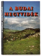 Dr. Juhász Árpád-Dr. Gál Éva:  A Budai Hegyvidék. Bp., 1988, Képzőművészeti. Kiadói Kartonált Papírkötés. - Ohne Zuordnung