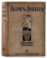 Prof. Dr. O. Von Kirchner: Blumen Und Insekten. Leipzig-Berlin, 1911, B. G. Teubner. Német Nyelven. Szövegközti Illusztr - Sin Clasificación