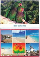 4 Db MODERN Képeslap A Kanári-szigetekről, Hátoldalakon Sakkbélyegzésekkel / 4 Modern Postcards From The Canary Islands, - Unclassified