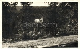 T2 Borszék, Római Katolikus Templom, Heiter György Felvétele és Kiadása / Roman Catholic Church - Ohne Zuordnung