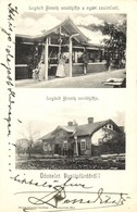 T2 1905 Buziásfürdő, Buzias; Loydolt Henrik Vendéglője A Nyári Szaletlivel, étterem. Kiadja Nosek Gusztáv / Restaurant,  - Unclassified