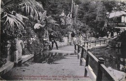 T2/T3 Vízakna, Salzburg, Ocna Sibiului; Sóstó Körüli Sétány A Sósvíz Forrással / Promenade Around The Lake With Salt Wat - Ohne Zuordnung