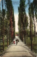 T2/T3 Érsekújvár, Nové Zamky; Vasúti Fasor, Kerékpáros Férfi / Road To The Railway, Man On Bicycle  (EK) - Ohne Zuordnung