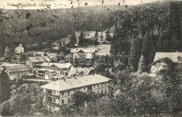 T2 Feketehegyfürdő, Merény, Nálepkovo; Látkép, Nyaralók / General View, Villas - Ohne Zuordnung