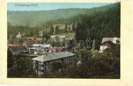 T2/T3 Feketehegyfürdő, Merény, Nálepkovo; Látkép, Nyaralók / General View, Villas (EK) - Ohne Zuordnung