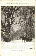 T3 Kistapolcsány, Topolcianky; Főhercegi Uradalom, Tompinova Erdőrész, Lószán Télen / Forest With Horse Sled In Winter ( - Unclassified