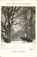 T3 Kistapolcsány, Topolcianky; Főhercegi Uradalom, Tompinova Erdőrész, Lószán Télen / Forest With Horse Sled In Winter ( - Ohne Zuordnung